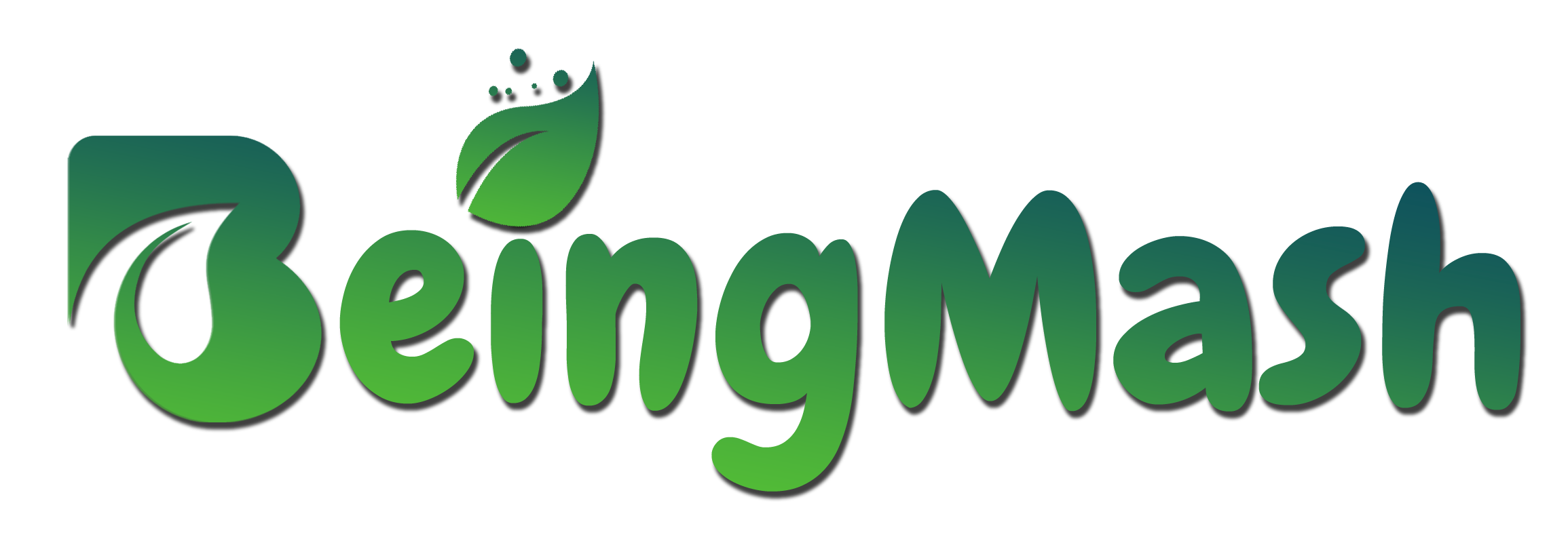 BeingMash - IT Consultant Digital Solution